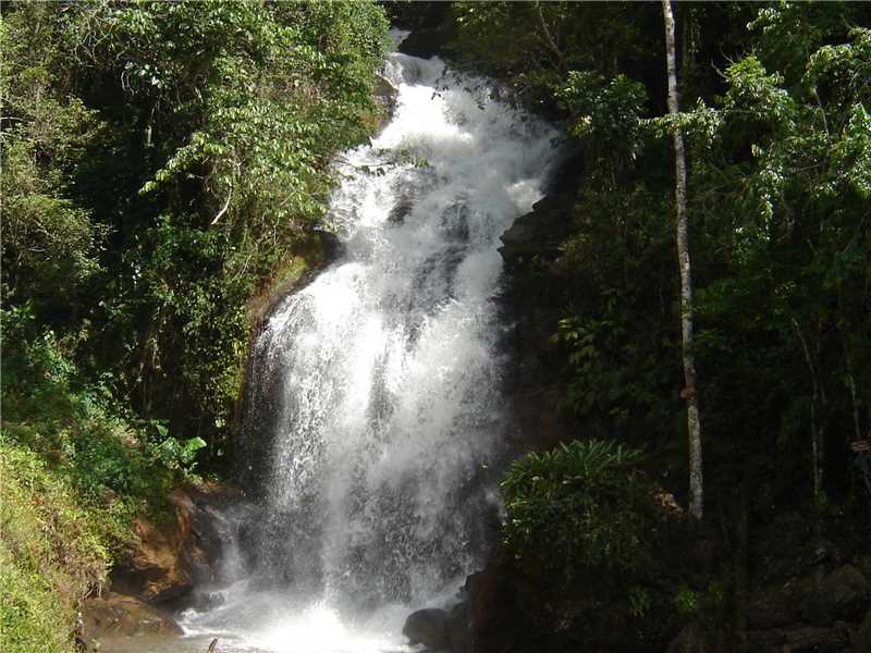 Cachoeira do Quintino